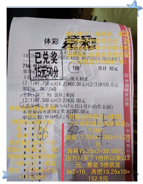 全面剖析：世界杯投注官网最佳选择