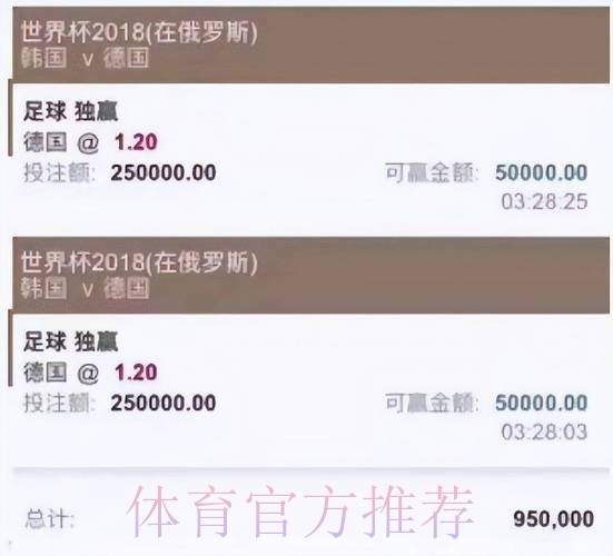 全面解析世界杯投注平台安全性的关键因素