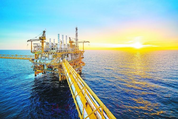 全面解析世界杯投注平台安全性的关键因素